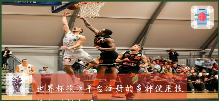 世界杯投注平台注册的多种使用技巧与功能介绍