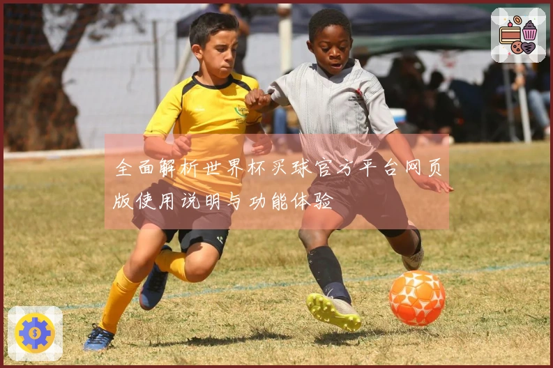 全面解析世界杯买球官方平台网页版使用说明与功能体验