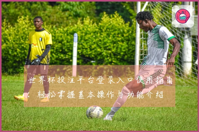 世界杯投注平台登录入口使用指南：轻松掌握基本操作与功能介绍