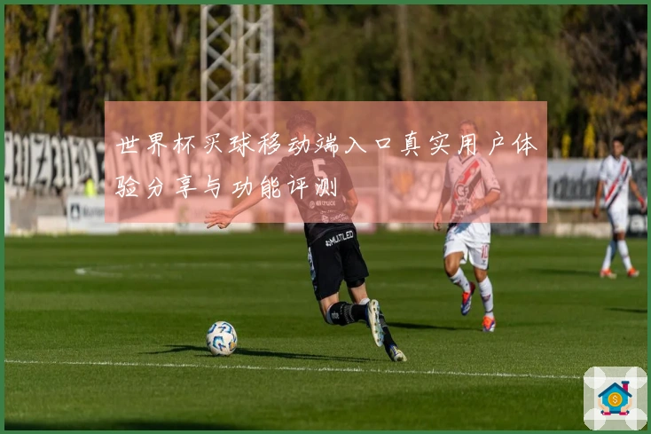 世界杯买球移动端入口真实用户体验分享与功能评测