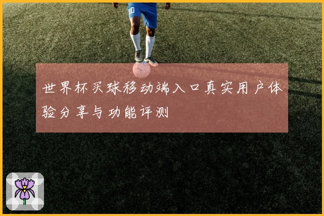 世界杯买球移动端入口真实用户体验分享与功能评测