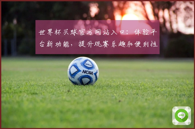 世界杯买球官方网站入口：体验平台新功能，提升观赛乐趣和便利性
