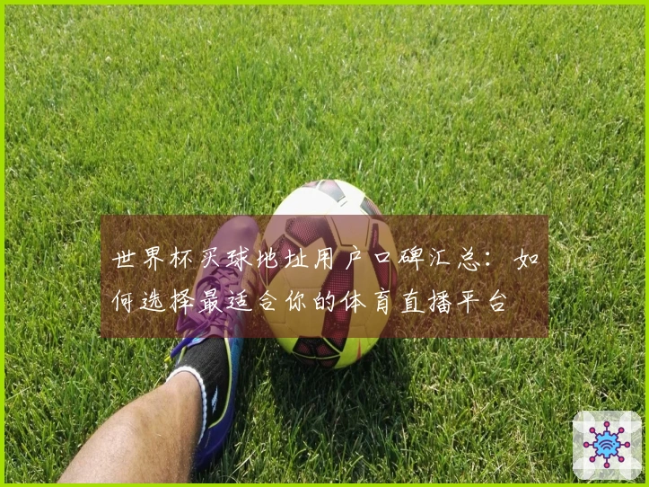 世界杯买球地址用户口碑汇总:如何选择最适合你的体育直播平台