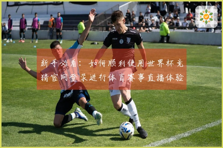 新手必看：如何顺利使用世界杯竞猜官网登录进行体育赛事直播体验