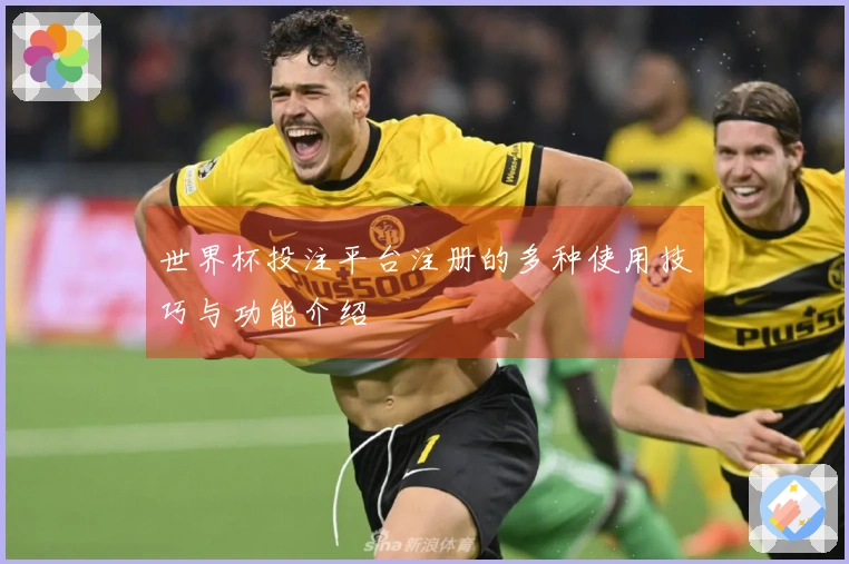 世界杯投注平台注册的多种使用技巧与功能介绍