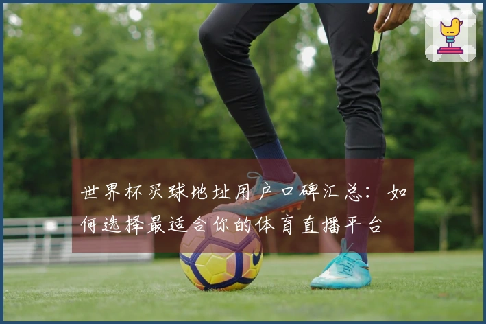 世界杯买球地址用户口碑汇总：如何选择最适合你的体育直播平台