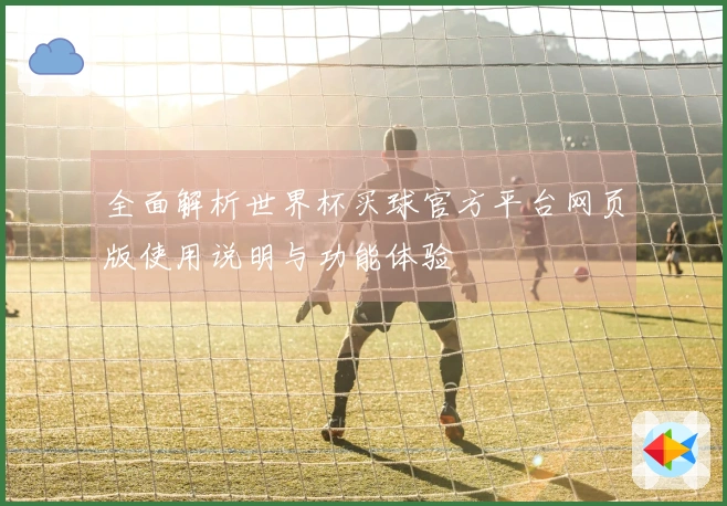 全面解析世界杯买球官方平台网页版使用说明与功能体验